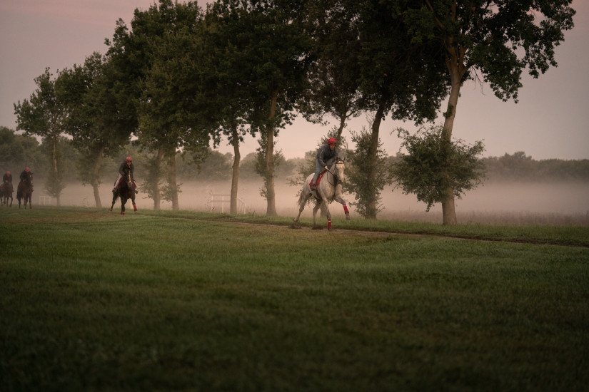 I cavalli Razza Dormello Olgiata al galoppo (PH:Mirrordigitalagency_fotodavidebischeri)
