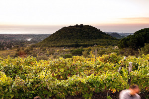 I Quaderni di WineNews - L'Etna