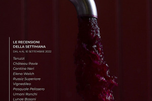 I Vini di WineNews - N. 222