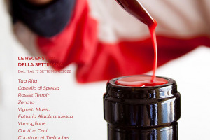 I Vini di WineNews - N. 223