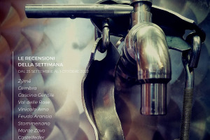 I Vini di WineNews - N. 225