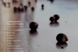 I Vini di WineNews - N. 226