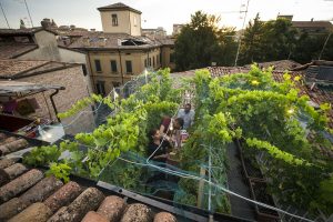 Tra arte, provocazione e viticoltura: da un tetto di Reggio Emilia un vino da 5.000 euro a bottiglia