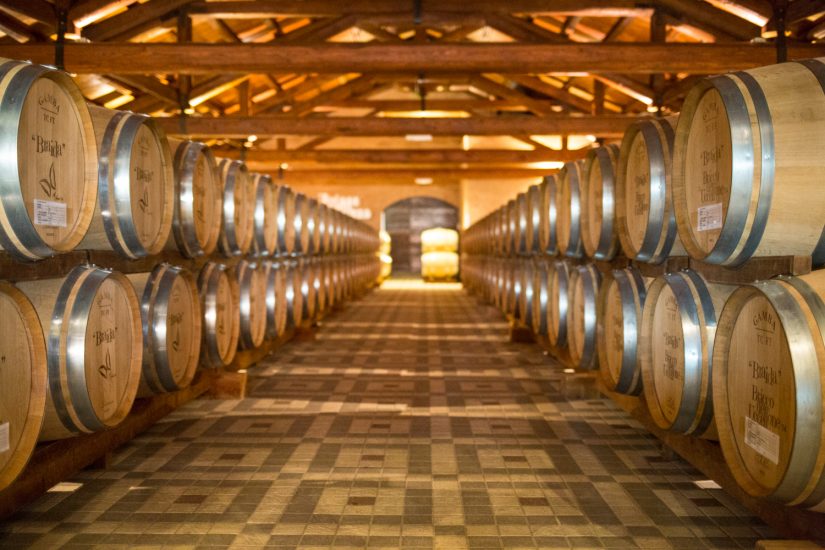 Il Bricco dell’Uccellone di Braida festeggia 40 vendemmie