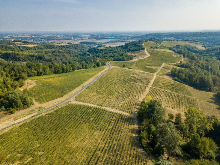 Il Bricco dell’Uccellone di Braida festeggia 40 vendemmie