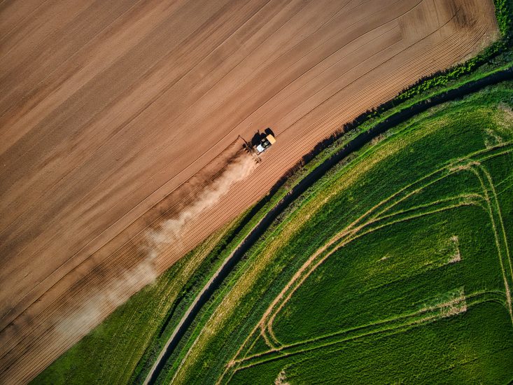 Le misure destinate all'agroalimentare italiano in legge di bilancio valgono  2 miliardi di euro - WineNews