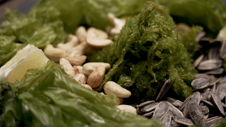 Il progetto Algae, per il consumo dei “vegetali del mare”