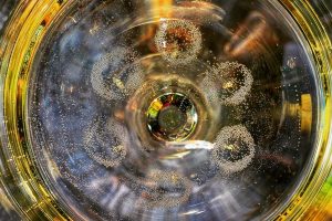 Il senso del calice per il vino: di come la forma può valorizzare l’esperienza della degustazione Il senso del calice per il vino: di come la forma può valorizzare l’esperienza della degustazione