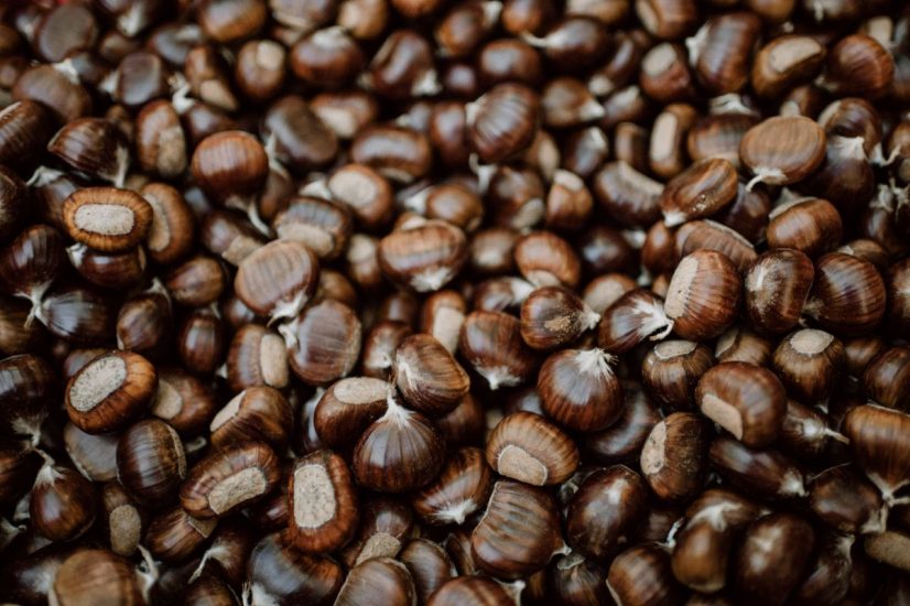 Giornate delle castagne a Lana. Ph: F. Blickle Keschtnfestl Völlan