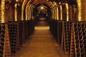 Tra climate change, sostenibilità ambientale, ricerca e tutela, il futuro della Champagne 