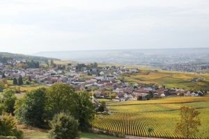 Champagne, la r&eacute;serve individuelle a 100 quintali ad ettaro per compensare le annate sfortunate