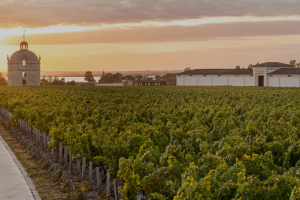 Vino e fusioni: Artémis Domaines (Château Latour) acquisisce la maggioranza di Henriot Vino e fusioni: Artémis Domaines (Château Latour) acquisisce la maggioranza di Henriot