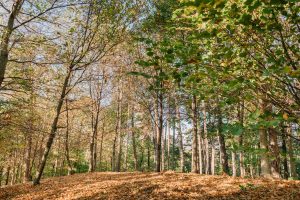 Tra bel clima ed enogastronomia, il 20% degli italiani passer&agrave; il ponte di Ognissanti fuori casa