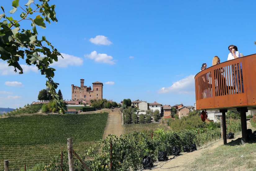 La Vigna Gustava del Castello di Grinzane Cavour