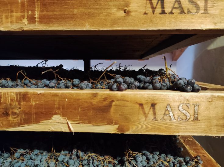 Masi250 - Appassimento, Masi Gargagnago