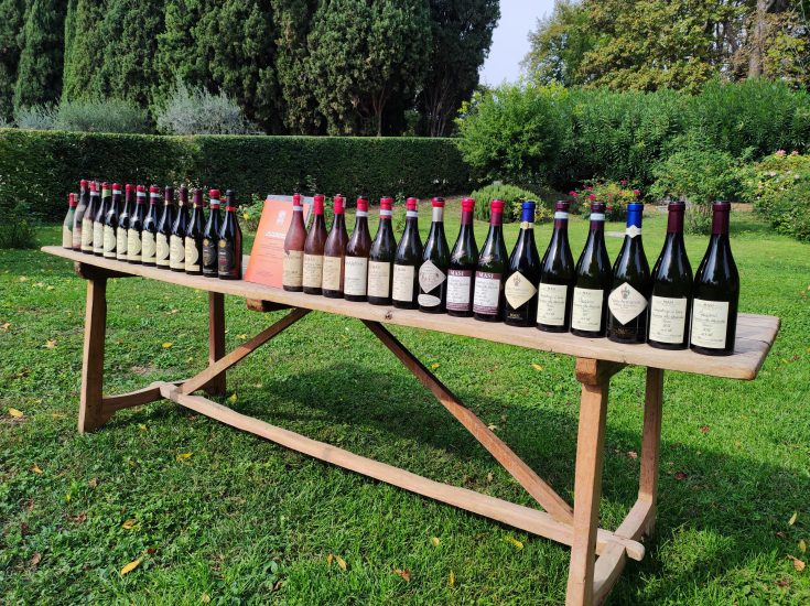 Masi250 - Doppia Verticale Amarone Classico Masi: dal 1958 al 2016 e poi 3 Cru a confronto in 5 diverse annate