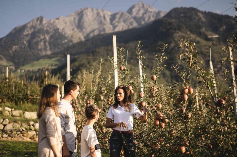 “Apfelfesta” dedicata alle mele a Bolzano. Ph: P. Schwienbach