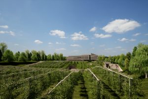 Guardando al futuro Masi celebra 250 vendemmie: apre “Monteleone21”, “entry gate” della Valpolicella