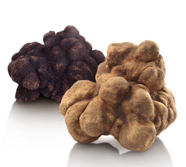 Il tartufo tutto l’anno ... con la teca di Appennino Food Group