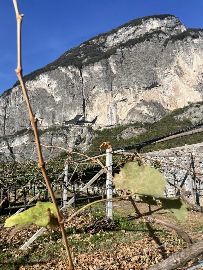 Le colline vitate del Trentodoc