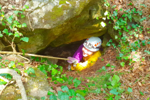 Acqua alle viti, lo studio dell’Università di Trieste punta alla gestione ottimale delle risorse