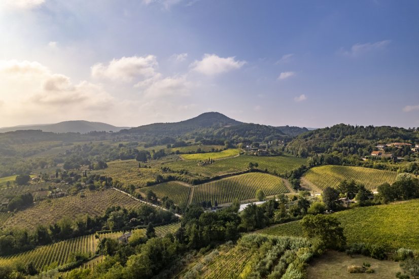 I vigneti di Montepulciano