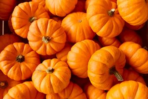 Halloween, Iva al 4% per le zucche, ma solo se commestibili