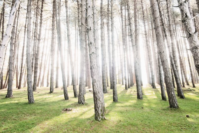 La foto di Alessandro Mallamaci
