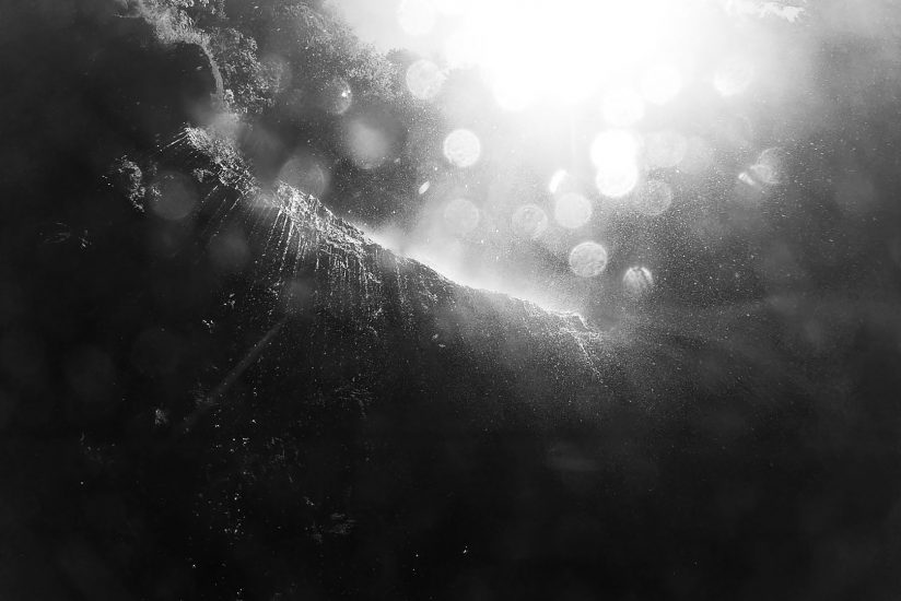 La foto di Chiara Fasano