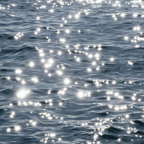 La foto di Fabio Meinardi