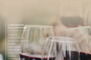 I Vini di WineNews - N. 227