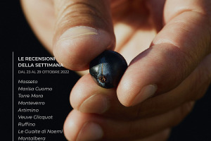 I Vini di WineNews - N. 229