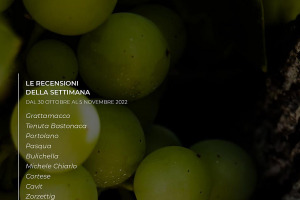 I Vini di WineNews - N. 230