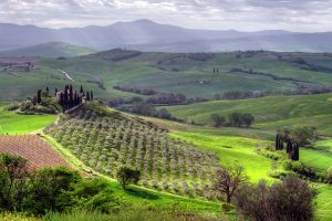 Boom agriturismi, un settore da 13 milioni di presenze e un fatturato di 2 miliardi nel 2021