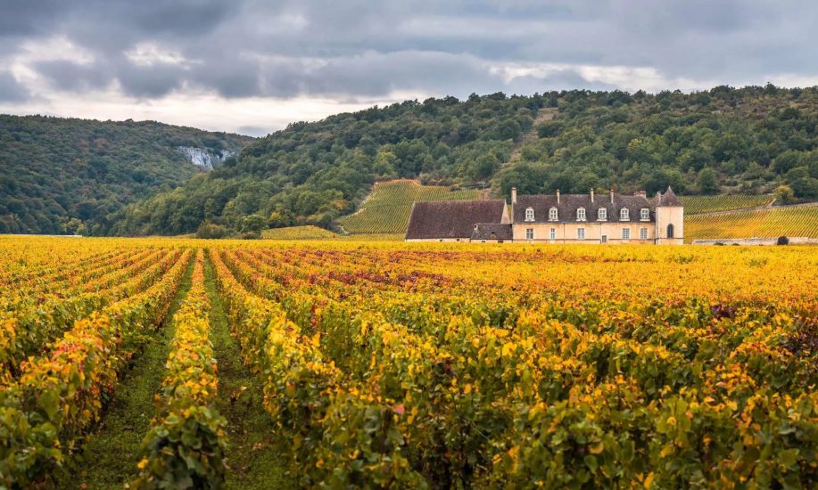 I vini di Borgogna alla “Fiera del Tartufo Bianco d’Alba 2022” 