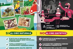 Carne in provetta, semaforo verde dagli Usa. Ma gli italiani sono contro i cibi sintetici