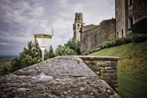Il sistema Prosecco