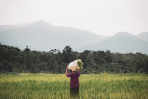 Slow Food: “finisce la COP27, ma rimangono i sistemi alimentari inquinanti”
