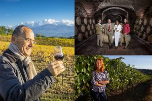 Il “Wine of the Year” del 2022 by “Wine Spectator” arriva dalla Napa Valley