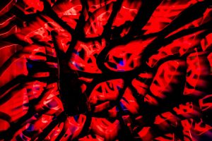 Il mondo dello Champagne visto dallo sguardo visionario di Gi&ograve; Martorana: ecco &ldquo;G&eacute;n&eacute;alogie&rdquo;