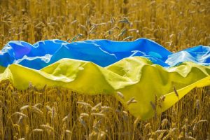 Fao, più aiuti all’Ucraina per tutelare capacità agricola e sicurezza alimentare di Kiev