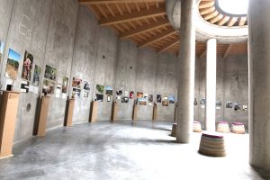 Quando una cantina è anche un percorso culturale sul vino: la storia di Guado al Melo