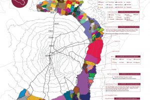 The map that identifies the 133 Contradas of Etna, at the top of Italian viticulture