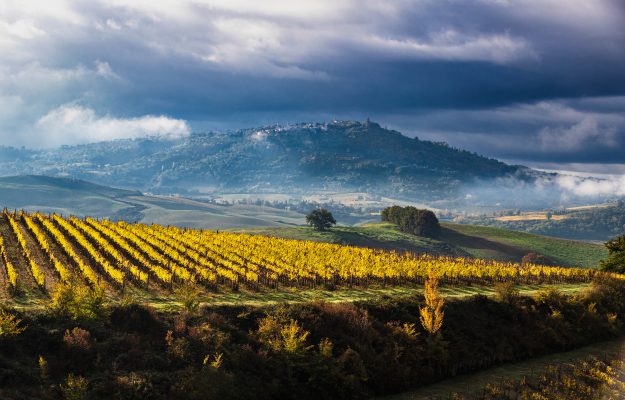 Il “Brunello del futuro” tra mercati, enoturismo e un piano di rilancio della denominazione