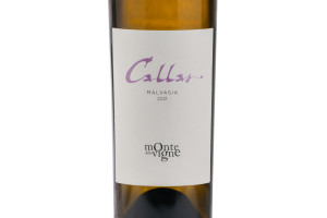 Monte delle Vigne, Doc Colli di Parma Malvasia Callas 2021