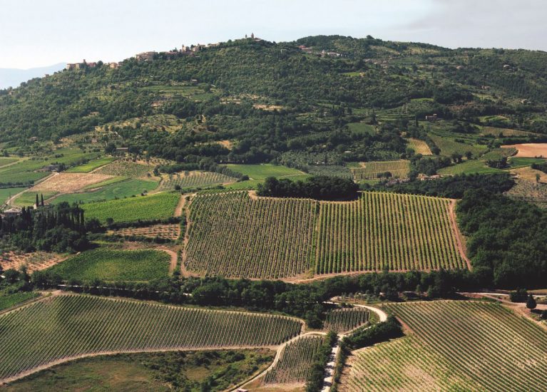 Al via “Benvenuto Brunello” con un “Brunello Day” (ph: Altesino)