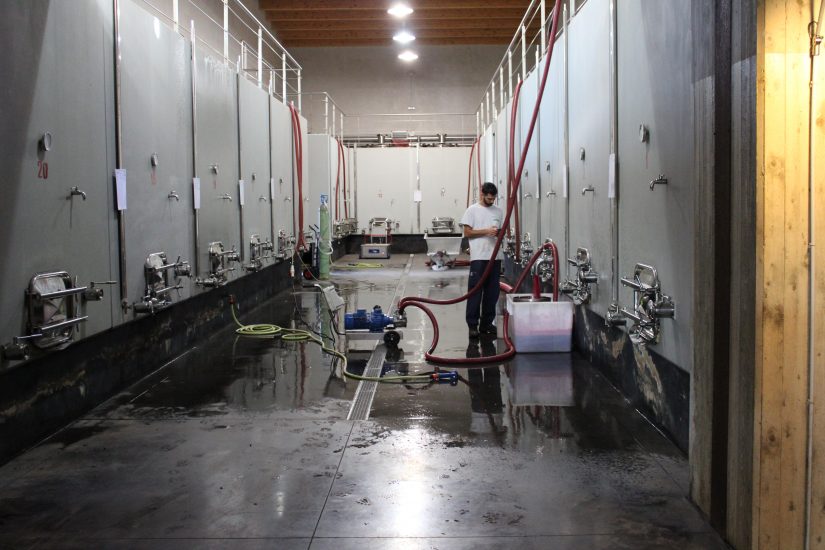 La cantina di Arianna Occhipinti