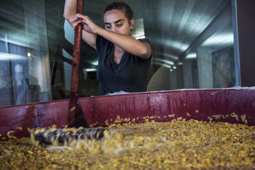 La vignaiola Arianna Occhipinti