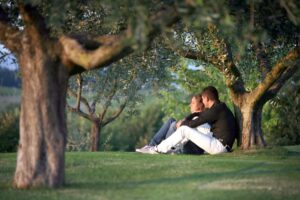 Alla scoperta degli ulivi millenari per sensibilizzare sull&rsquo;uso dell&rsquo;olio Evo di qualit&agrave;