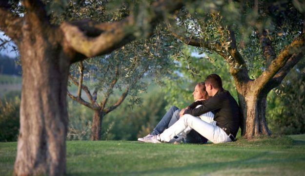 Cresce l&rsquo;oleoturismo in Italia tra cultivar e ulivi secolari, con in testa Toscana, Puglia e Sicilia